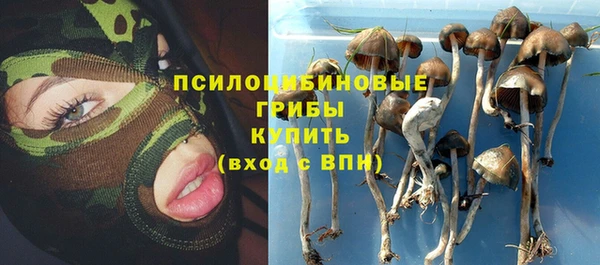 твердый Нефтегорск