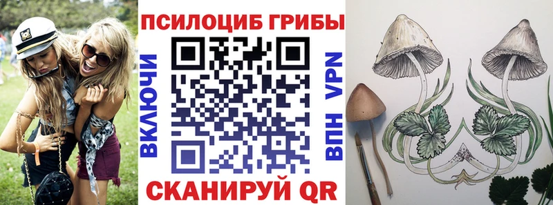 Псилоцибиновые грибы GOLDEN TEACHER  даркнет какой сайт  Махачкала 