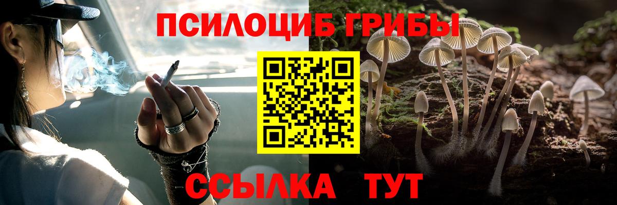 где продают наркотики  Галлюциногенные грибы мицелий  Вход с VPN  Махачкала 